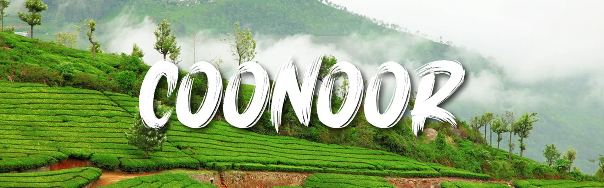 coonoor