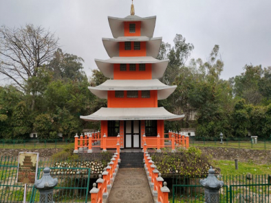 state image