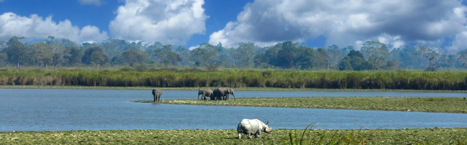 assam